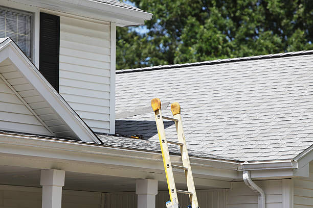 Shed Removal in Nederland, TX